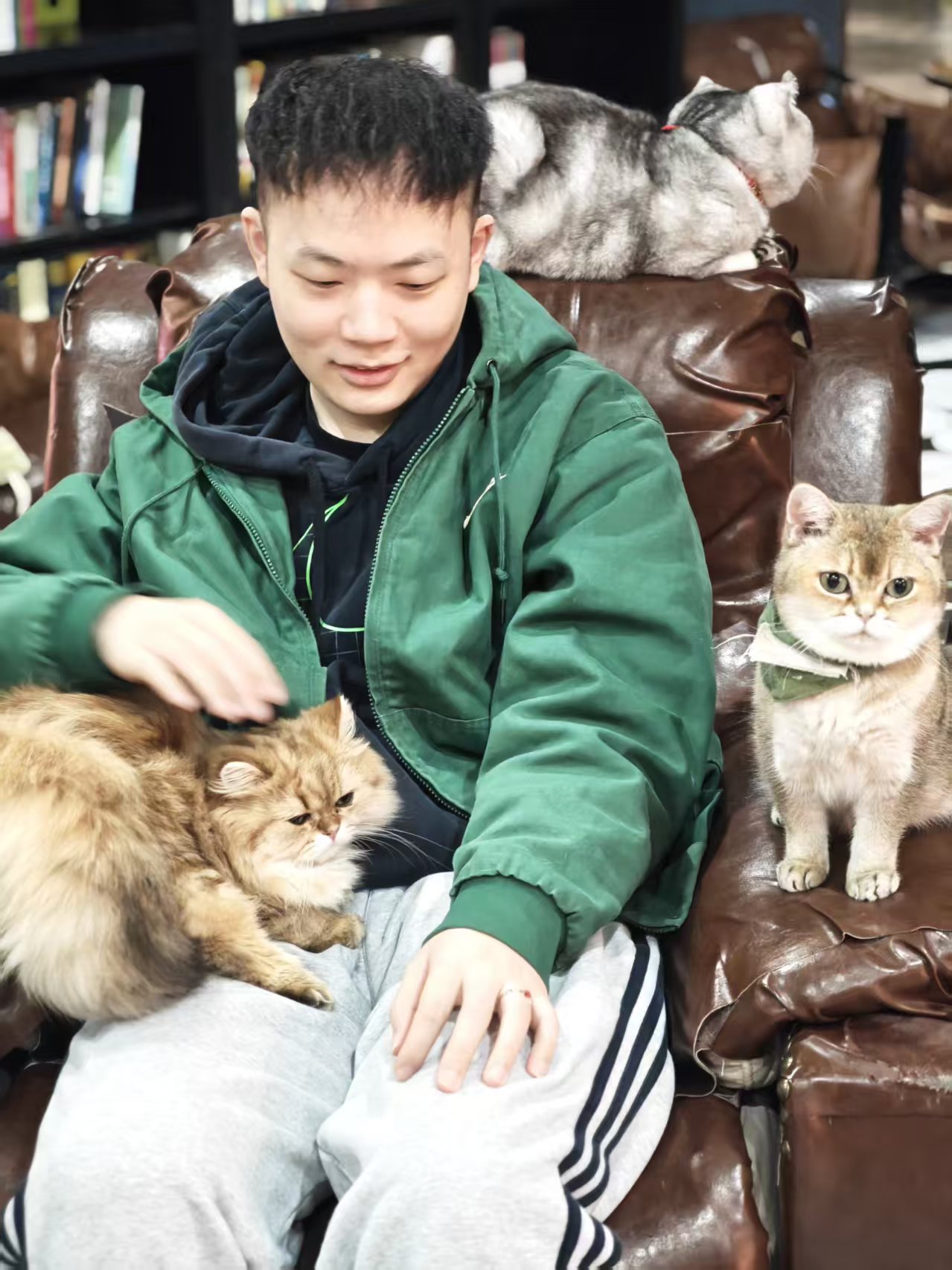 Yi Guancheng sitting with cats